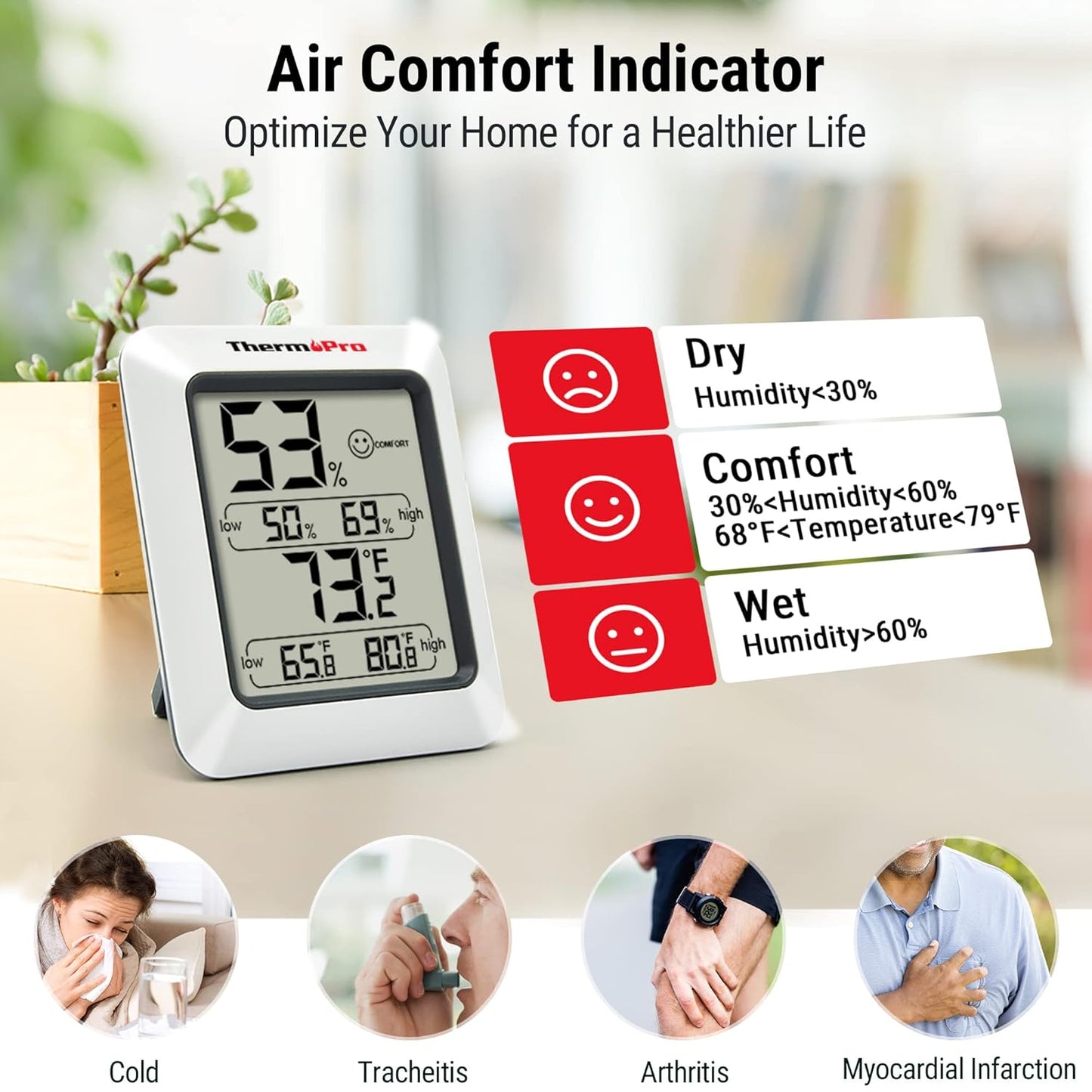 Digital LCD Thermometer